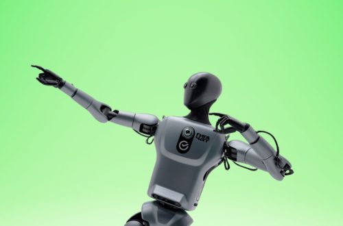 На международной конференции AI Journey Герман Греф показал первого антропоморфного робота Грина